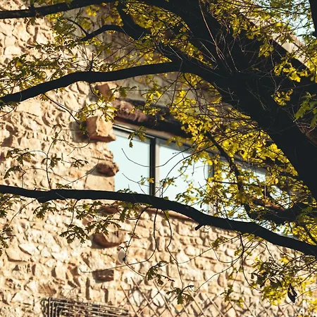 شقة Borgo Sgarabia Relais